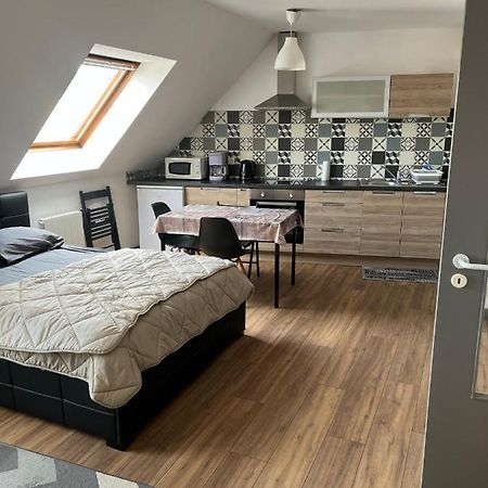 Super Appartement Colmar Centre Экстерьер фото