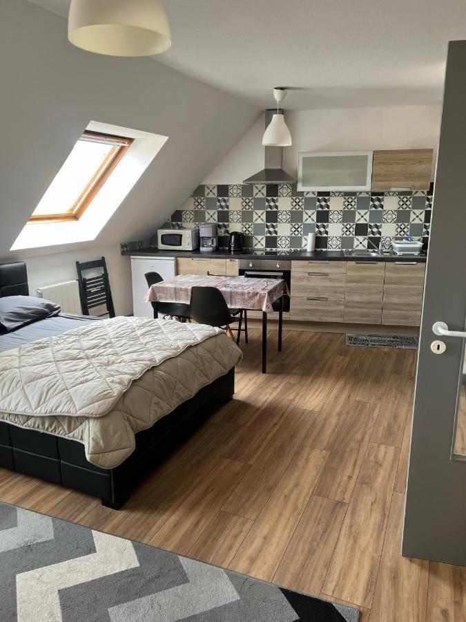 Super Appartement Colmar Centre Экстерьер фото