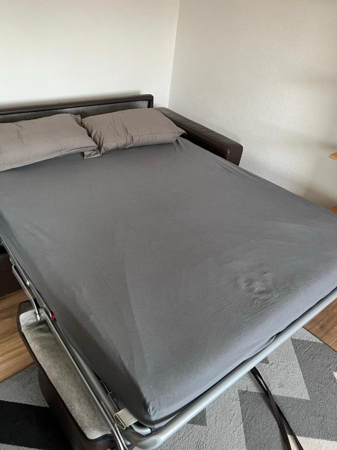 Super Appartement Colmar Centre Экстерьер фото
